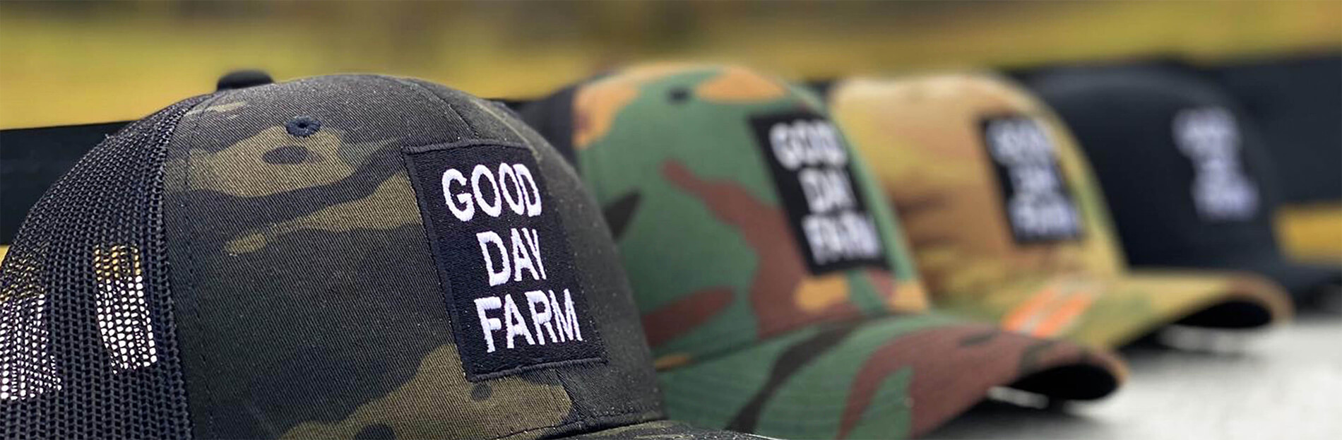 GDF-HeaderImage
